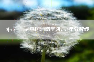 衡阳中国消防学院2024年分数线