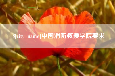 衡阳中国消防救援学院要求