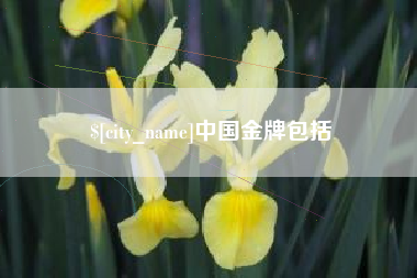 衡阳中国金牌包括