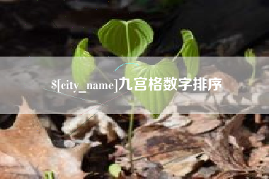 衡阳九宫格数字排序