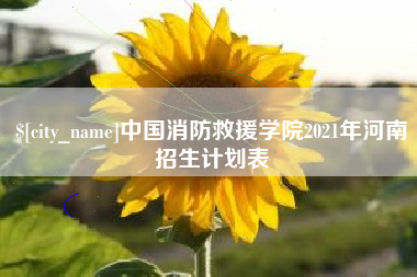 衡阳中国消防救援学院2021年河南招生计划表