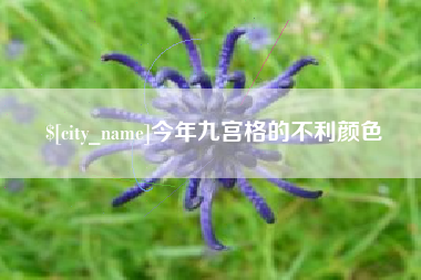 衡阳今年九宫格的不利颜色