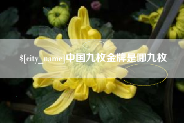 衡阳中国九枚金牌是哪九枚