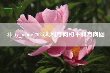 衡阳2025大利方向和不利方向图