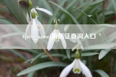 衡阳消防证查询入口
