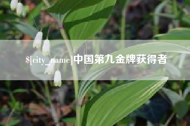 衡阳中国第九金牌获得者