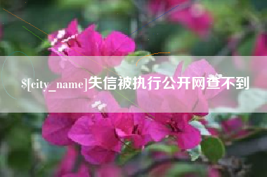 衡阳失信被执行公开网查不到