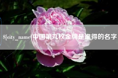 衡阳中国第九枚金牌是谁得的名字