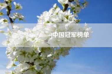 衡阳中国冠军榜单