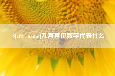 衡阳九宫宫位数字代表什么