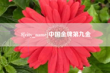 衡阳中国金牌第九金