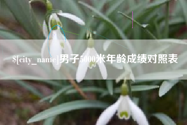 衡阳男子5000米年龄成绩对照表