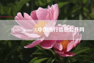 衡阳1.中国执行信息公开网