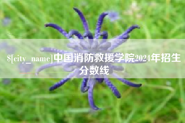 衡阳中国消防救援学院2024年招生分数线
