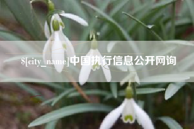 衡阳中国执行信息公开网询