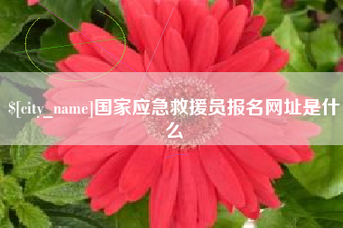 衡阳国家应急救援员报名网址是什么