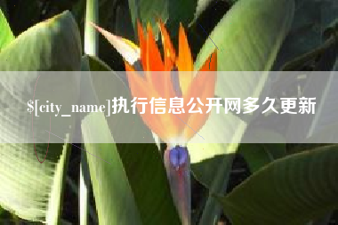 衡阳执行信息公开网多久更新