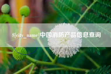 衡阳中国消防产品信息查询
