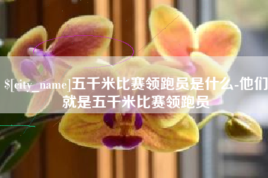 衡阳五千米比赛领跑员是什么-他们就是五千米比赛领跑员