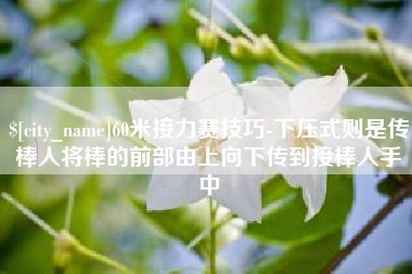 衡阳60米接力赛技巧-下压式则是传棒人将棒的前部由上向下传到接棒人手中