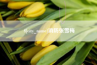 衡阳消防张雪梅