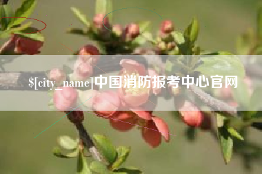 衡阳中国消防报考中心官网
