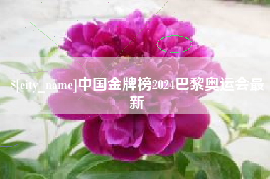 衡阳中国金牌榜2024巴黎奥运会最新