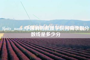 衡阳中国消防救援学院河南录取分数线是多少分