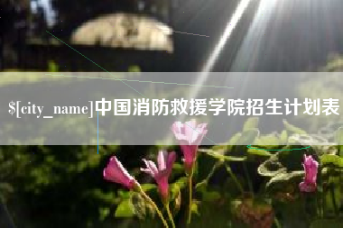 衡阳中国消防救援学院招生计划表