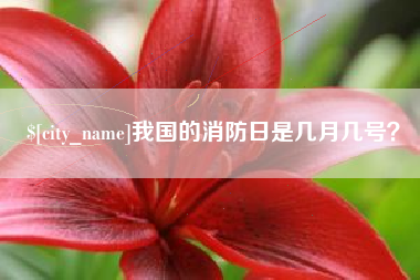 衡阳我国的消防日是几月几号？