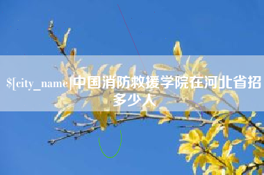衡阳中国消防救援学院在河北省招多少人
