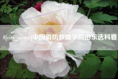 衡阳中国消防救援学院山东选科要求