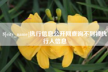 衡阳执行信息公开网查询不到被执行人信息
