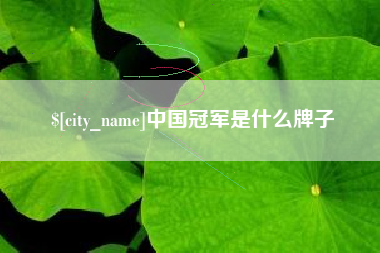 衡阳中国冠军是什么牌子