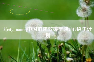 衡阳中国消防救援学院2019招生计划