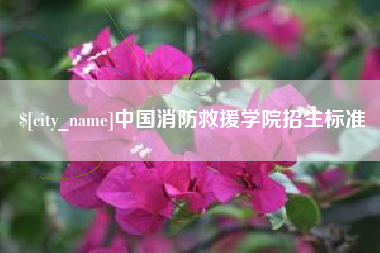 衡阳中国消防救援学院招生标准