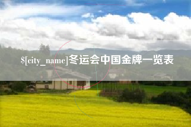衡阳冬运会中国金牌一览表