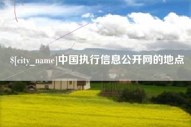 衡阳中国执行信息公开网的地点