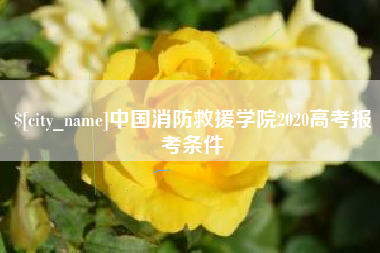 衡阳中国消防救援学院2020高考报考条件