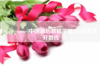 衡阳中国消防救援学院2021年招生分数线