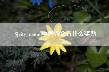 衡阳中国夺金有什么奖励