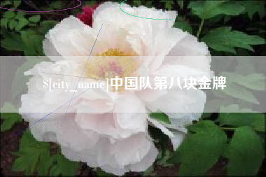 衡阳中国队第八块金牌