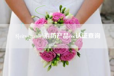 衡阳消防产品ccc认证查询