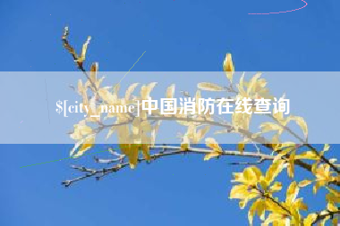 衡阳中国消防在线查询