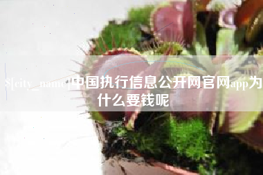 衡阳中国执行信息公开网官网app为什么要钱呢