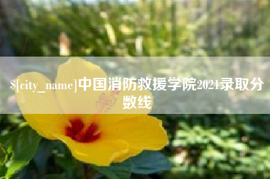 衡阳中国消防救援学院2021录取分数线