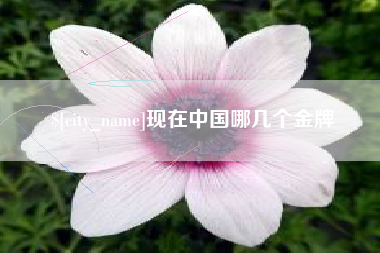 衡阳现在中国哪几个金牌