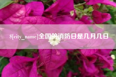 衡阳全国的消防日是几月几日