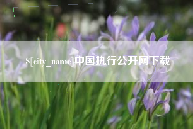 衡阳中国执行公开网下载