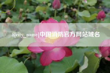 衡阳中国消防官方网站域名